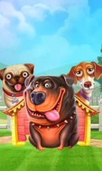 The Dog House